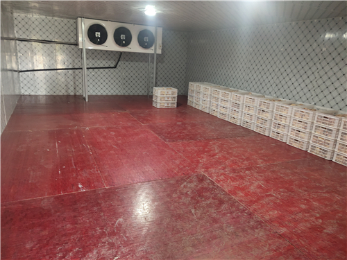 冷庫設(shè)計(jì)安裝